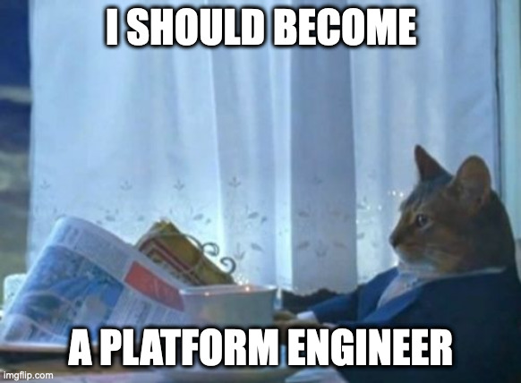 Platform Engineer as a supportive figure for developers, handling infrastructure challenges to enable focus on feature creation and problem-solving.