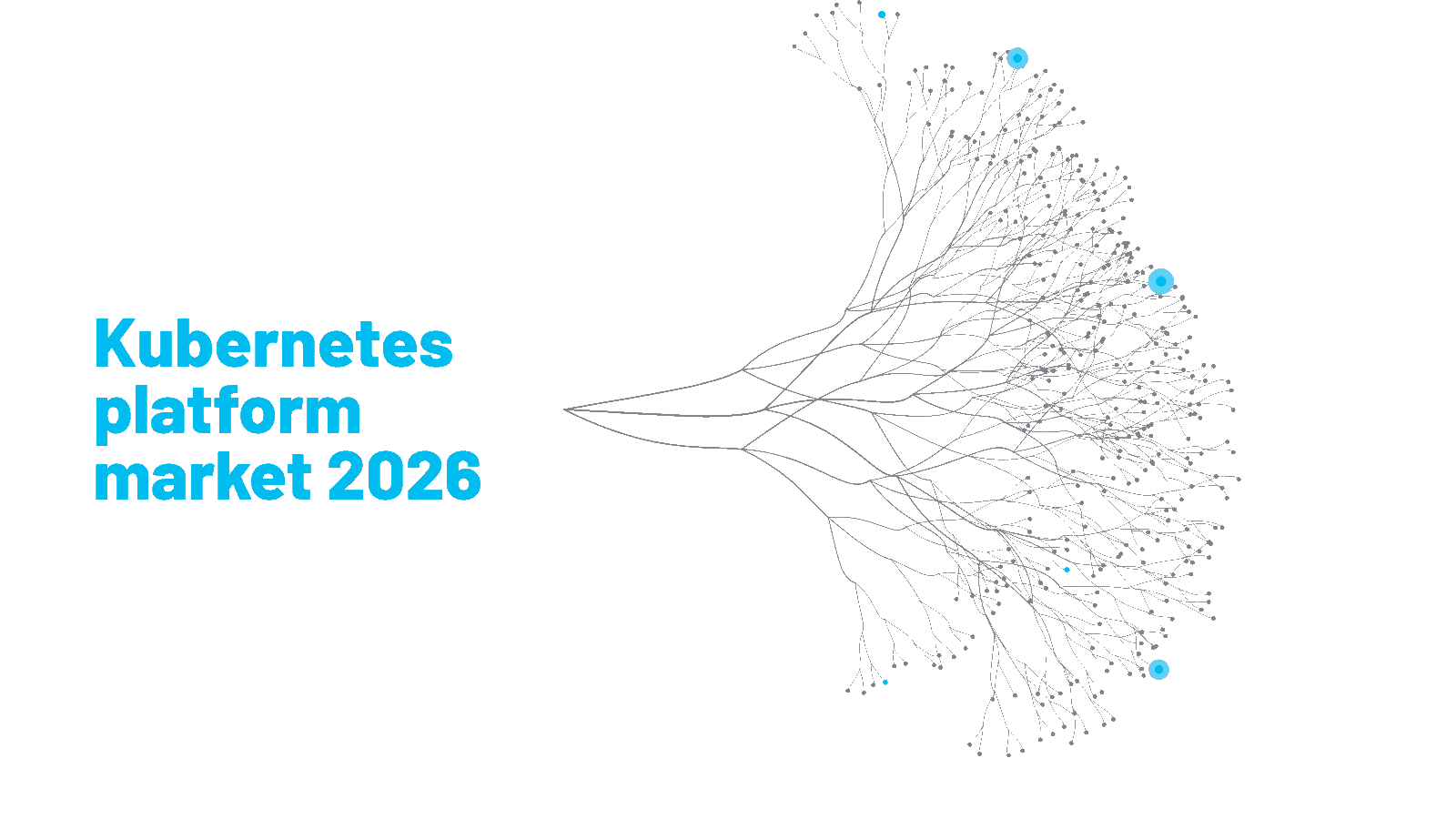 Die sieben Kategorien des Kubernetes-Plattformmarkts 2026