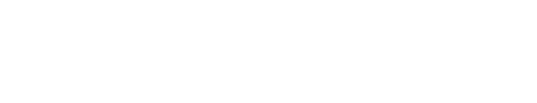 NeoNephos Foundation